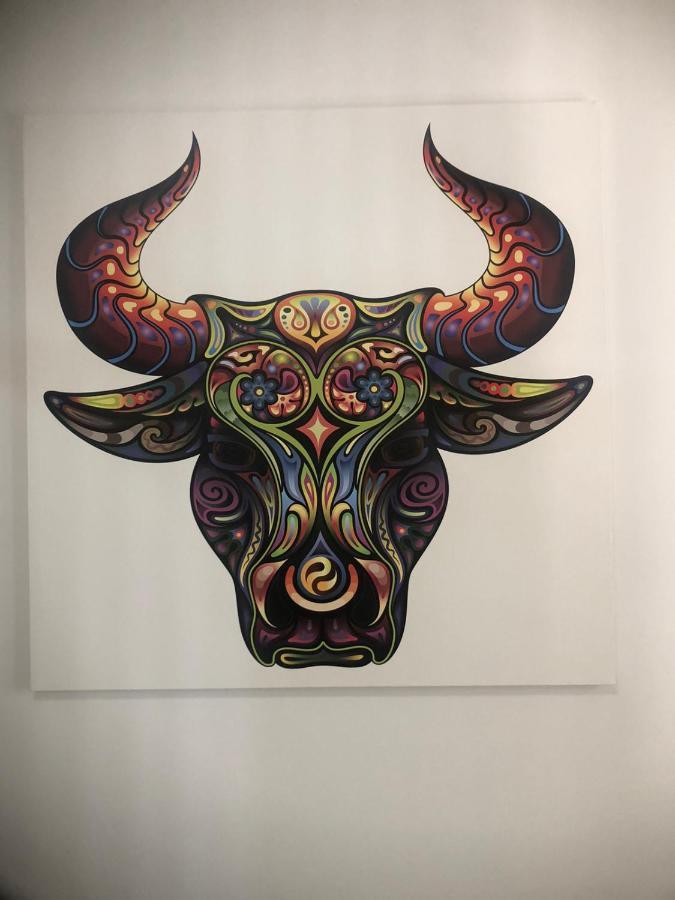 Apartment Bull House , Luxurious & Cozy.
